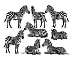Professional Zebra Silhouette Collection Template vector