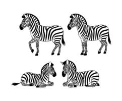 Simple Zebra Silhouette Collection Template Design vector