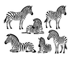 Black and White Zebra Silhouette Collection Template vector
