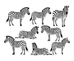 Unique Zebra Silhouette Collection Template vector