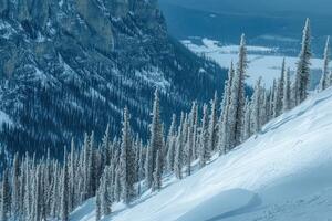 A snowy mountain photo