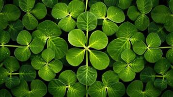 design four leaf clover pattern photo