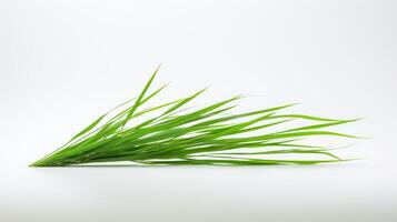 simplicity grass white background photo