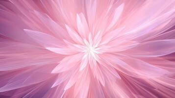 macro pink starburst background photo