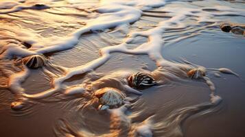 compact texture sand photo
