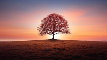 pink tree with sun photo