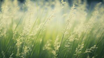 soft repeating grass texture photo