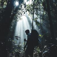 A man with a backpack in the woods photo