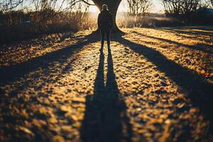 A person standing in front of a tree at sunset photo
