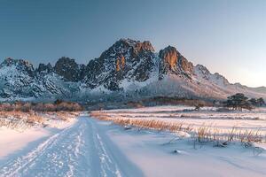 A snowy landscape with a mountain range in the background photo