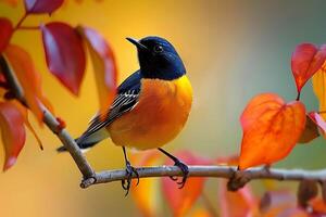 A bird is perched on a branch with colorful leaves photo