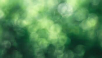 Green bokeh abstract background photo