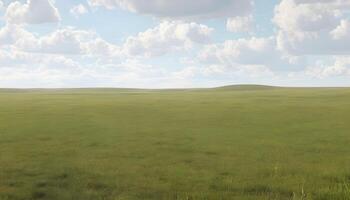 A cow is standing in a field with a sky in the background photo