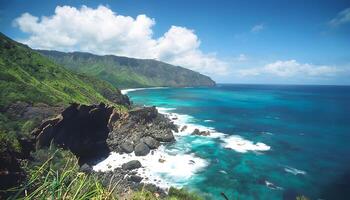 A view of the ocean and cliffs from a hill photo