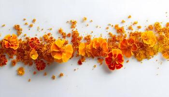 Orange flowers arranged in a line on a white surface photo