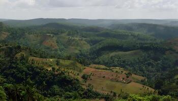 A view of the hills and trees in the jungle photo