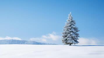 picturesque fir tree background photo