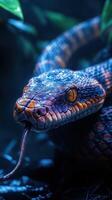 A snake with its tongue out in the dark photo