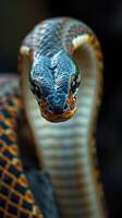 A close up of a snake with its head turned to the side photo