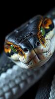 A close up of a snake's head and neck photo