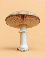 A mushroom is shown on a yellow background photo