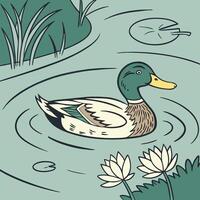Illustration of duck bird vector