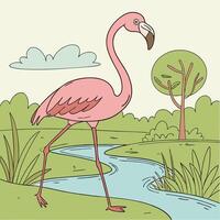 Flamingo bird illustration vector