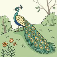 The illustration of peacock bird vector