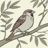 The illustration of sparrow bird on tree branch vector