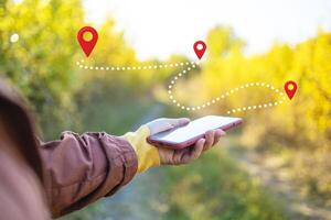 Close-up of hikers using a GPS navigation app on a smartphone to find their route in the forest. Tourist using navigation app on the mobile phone. photo