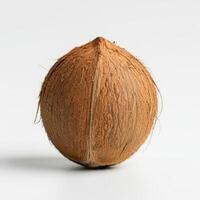 A whole fresh coconut on a white backdrop. photo