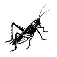 a black and white silhouette of a grasshopper vector