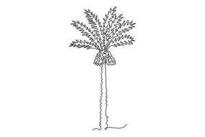 Continuous one line drawing beauty date palm tree for Arabian Middle East logo. Decorative phoenix dactylifera tree concept for plantation company. Single line draw design graphic illustration vector