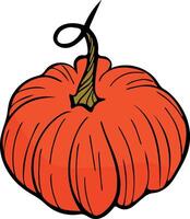 pumpkin vegetable illustration vector