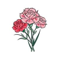 Charming Carnation Flower Bouquet Design vector