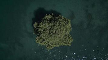 A beautiful aerial view of a lush green island that is completely surrounded by clear water video