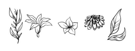 Sketches of flowers and leaves art vector