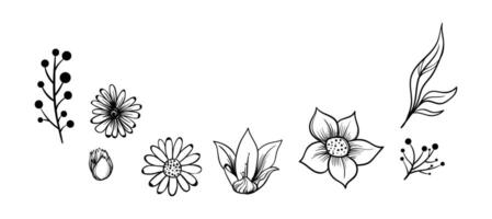 Sketches of flowers and leaves art design vector