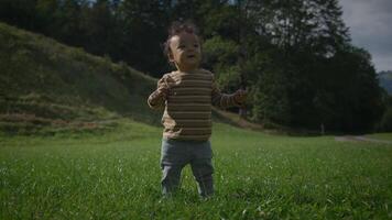 A Joyful Toddler is Happily Playing and Exploring in the Beautiful Nature Surrounding Him or Her video