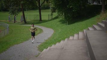 disfrutando un pacífico correr en el parque durante un brillante y soleado tiempo de día, rodeado por naturaleza video