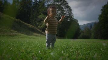 A joyful child is playing happily in a lush green field, all beneath beautiful, dramatic skies video
