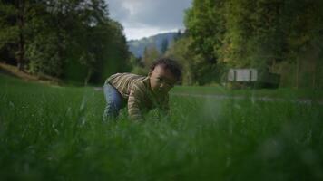 A Young Child Joyfully Exploring Nature in a Beautiful, Lush Green Field Overflowing with Life video