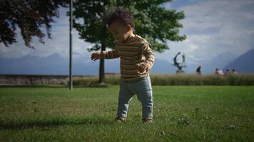 A toddler joyfully exploring the wonders of nature in a sunny park on a bright day video