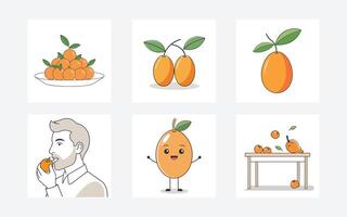 Exquisite Kumquat Illustrations for Creative Design Projects vector