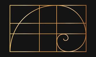 Golden ratio template. Gold logarithmic spiral in rectangle frame divided on lines. Fibonacci sequence grid. Perfect symmetry proportions layout. Nature harmony graphic formula. illustration vector