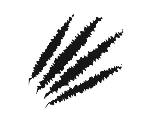 Scratch claw marks. Bear, wolf, toger or panther, dragon, monster or werewolf talons trace isolated on white background. Scary torn scars. Wild animal scratches track. graphic illustraton