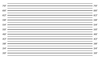 Lineup mug shot template. Empty background for burglar profile. Police inches height chart for photoshoot of wanted, arrested or suspected person identification. graphic illustration vector