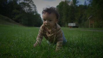 A Curious Baby is happily Crawling in a Beautiful Lush Green Field filled with Sunshine video