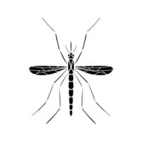 Mosquito isolated on white background line art drawing isolated vector