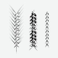 a set of three black and white drawings of leaves vector